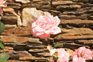 Robleluengo, Campillo de Ranas